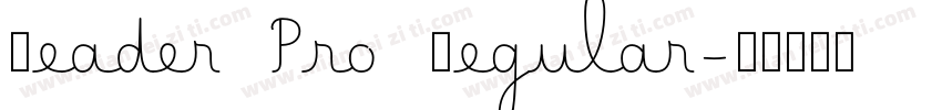 Reader Pro Regular字体转换